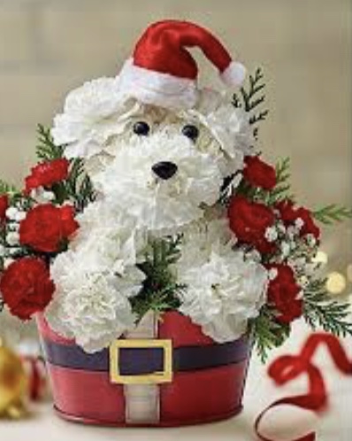 IMG_1210 IMG_1210